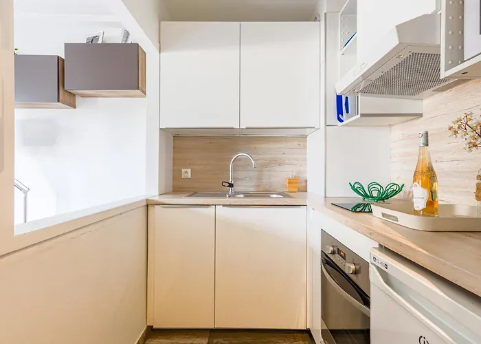 Les Arenes De Cimiez-1 By Interhome Apartment *