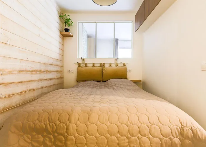 Les Arenes De Cimiez-1 By Interhome * Nizza